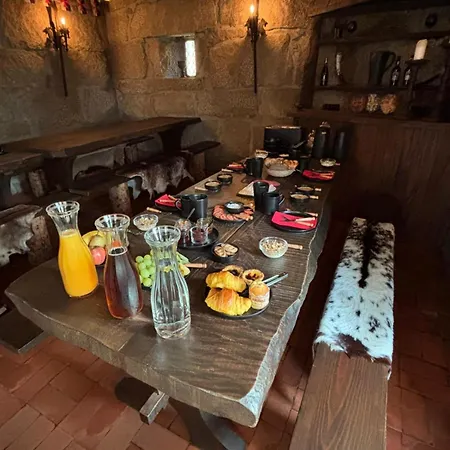 Gospodarstwo agroturystyczne Castelo De Portugraal Vilela (Porto)